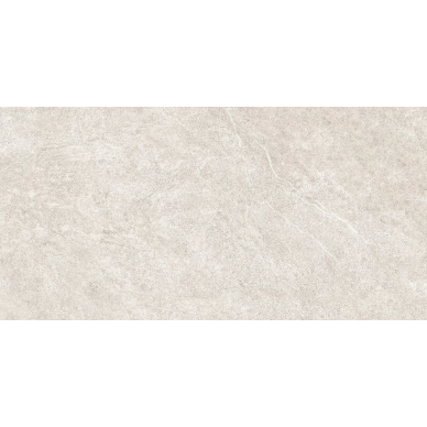 25820 NATURE BEIGE SF/60X120/C/R R10 0