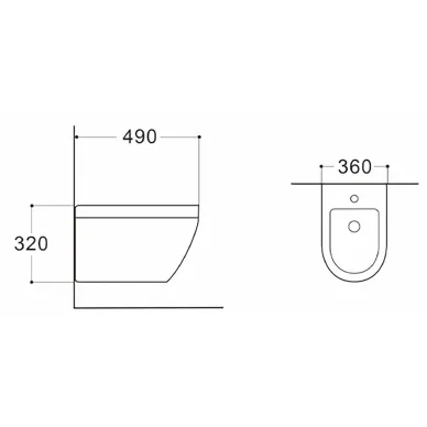 Биде подвесное Aquatek Лея AQ1099-00 1
