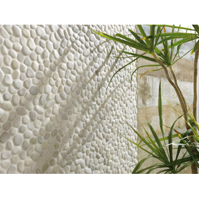 Nature Harmony 6