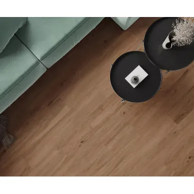 Canarium Brown 1