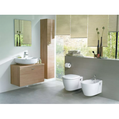Чаша подвесного унитаза Ideal Standard Connect (E803501) 1