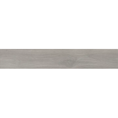 HARDWOOD GRIS rect. 20x120 0