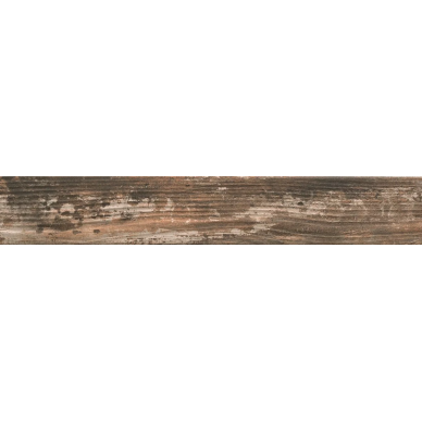 1058461 Kentucky Sassafras 15*90 0