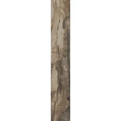 PO1660R Petrified Wood Brown Rett 16x99,5 0