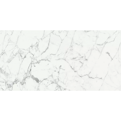 769860 LES ORIGINES DE REX BLANC GLOSSY 60x120 0