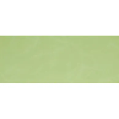 BG41 Verde Scuro 20*50 0