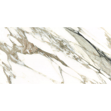 25918 MACCHIA VECCHIA NT/100X180/C/R 0