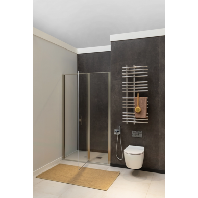 Душевая дверь Allen Brau Priority 90 (3.31026.BA) алюминий браш 7