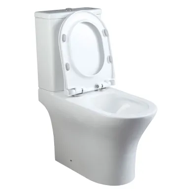 Унитаз напольный Cerutti SPA Bernina CT10815 безободковый смыв Tornado. микролифт 5