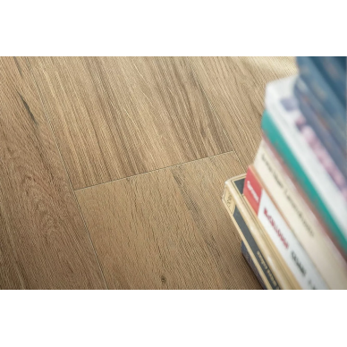 Planches 3