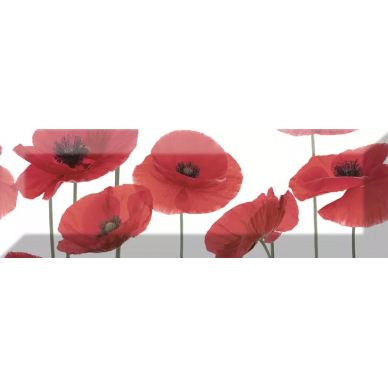 Decor Poppy 04 10X30 0