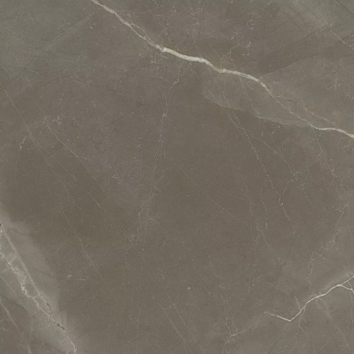 1804 Gris Rectificado Pulido 98x98 0