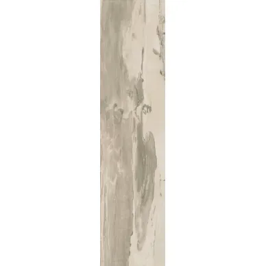 PO2520R Petrified Wood Beige Rett 24,3x99,5 0