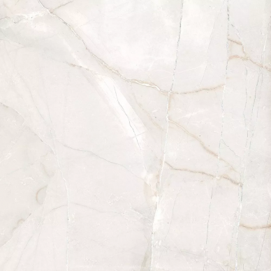 65413 Bianco Nat/Rett 60х60 0