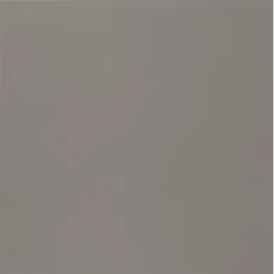NEUTRAL GRIS NATURAL 29.75х29.75 0