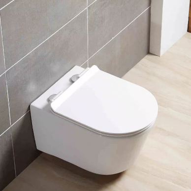 Чаша подвесного унитаза Aquatek Оберон	(AQ1363W-00) безободковый, с микролифтом 5