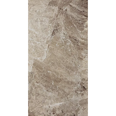 129004 Coliseum Moka 31x60 0