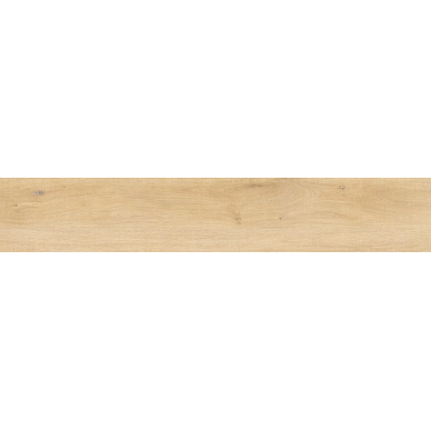 25376 WHISTLER HONEY/24X151/A/R R11 0