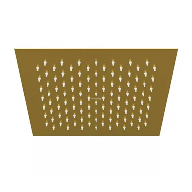Верхний душ Wasserkraft Aisch 5500 (A198) матовое золото 0