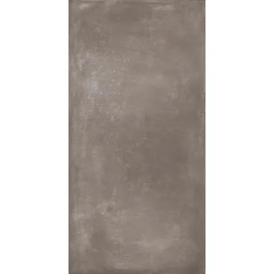 60107 Forest RET 50x100 0
