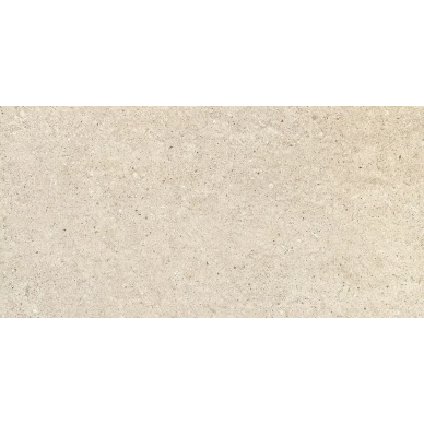 Concept Beige Solid 2cm 49.75x99.55 0