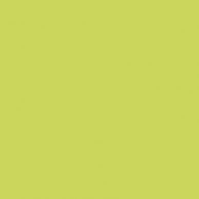Nanospectrum Green Pulido 89.46x89.46 0