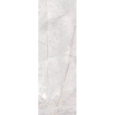 65434 Grigio Sat/Rett 20x60 0