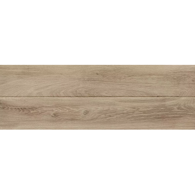 60138 Avenue тёмно-бежевый 20х60 0