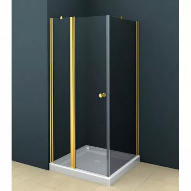 Боковая стенка Cezares Royal Palace (ROYAL PALACE-A-100-FIX-C-G) 100х195 см, золото 0
