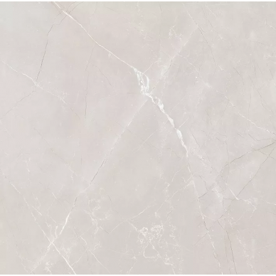 Vitrum Grey матовый 60x60 0
