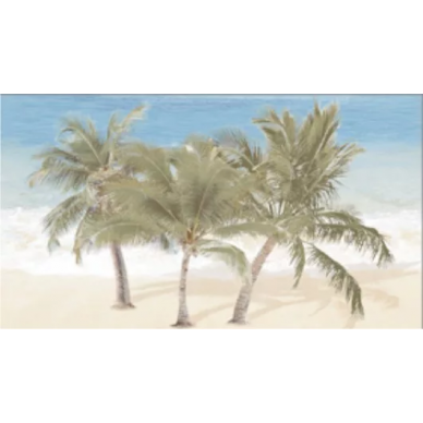Dec Tropic 3 25х45 0
