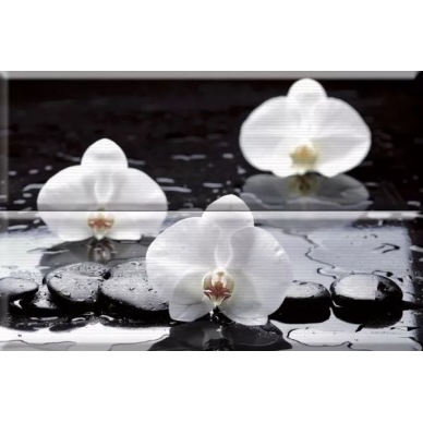 Composicion Wellness 02 White 30x45 (комплект 2шт) 0