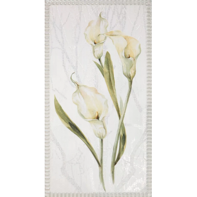 12486 FEMME D.CALAS/1/R 59x32 0