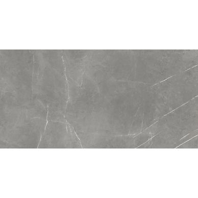 610015000657 Forte dei Marmi Elegant Grey Rett Cer 60x120 0