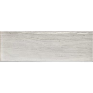 Genesis Gris Brillo 10x30 0