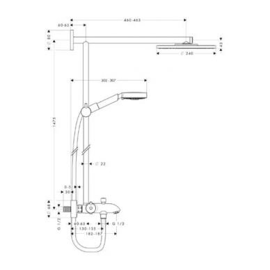 Душевая система Hansgrohe Raindance Showerpipe (27147000) (240 мм) 1