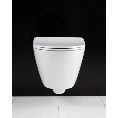 Чаша подвесного унитаза BelBagno Alpha (BB300CHR) 5