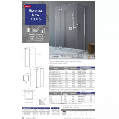 Душевая дверь Radaway Essenza (385024-01-01R) (120 см) (R) 6