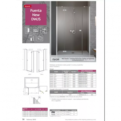 Душевая дверь Radaway Essenza (385031-01-01R) (120 см) (R) 7