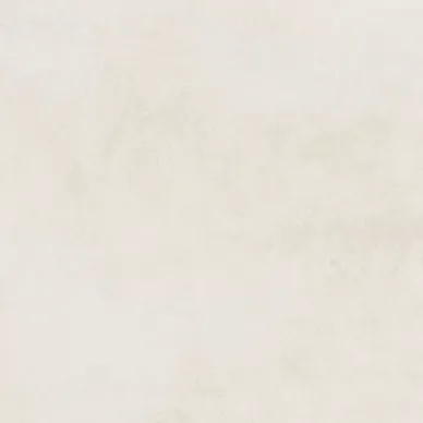 21872 PLANET BONE/60.7X60.7/NT/R 60.7x60.7 0