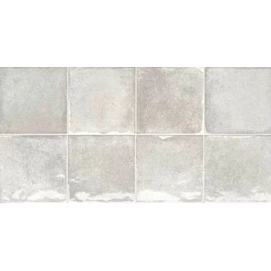 TERRA ICE 30x60 0