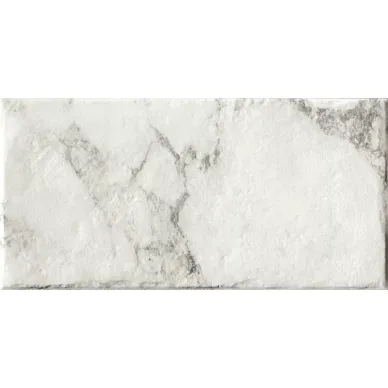 Magistra Classic Paonazzetto 20*40 0