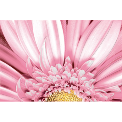 AE2N451 Aster 30x45 0