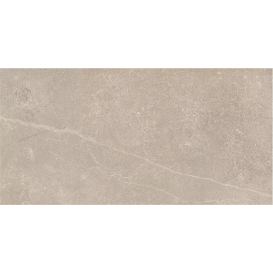 CAN5MONLBDAA P.E. MONOLITH BEIGE MT RECT 60X120 0