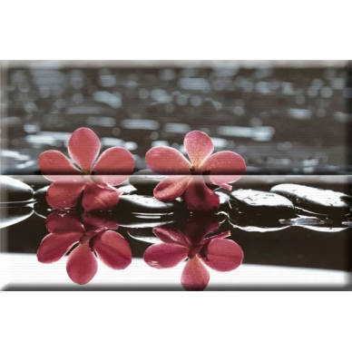 Composicion Wellness 02 Red 30x45 (комплект 2шт) 0
