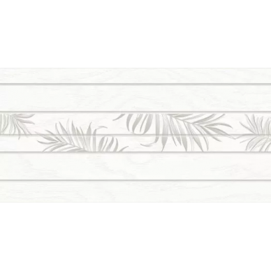 Equadore Fern 2 31.5x63 0