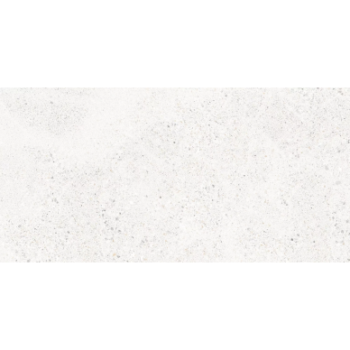 28543 LAKESTONE CLOUD AS/60X120/C/R 0