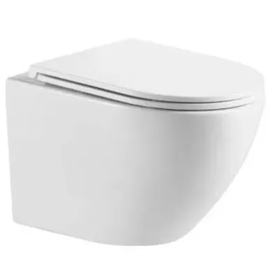 Инсталляция Welt Wasser Bamberg 460 + MERZBACH 041 XL GL-WT + Bamberg CR в комплекте с унитазом, безободковый, с сидением микролифт 1