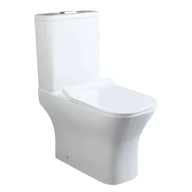 Унитаз напольный Cerutti SPA VETTORE Tornado CT10816 безободковый, микролифт 1