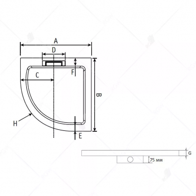 Поддон для душа RGW STone AWS-31 (03190400-01) (100-100) (полукруглый) 3